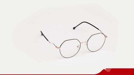 China Großhandel beste optische Acetat-moderne klassische Designer-Federscharnier-optische Brillenfassungen